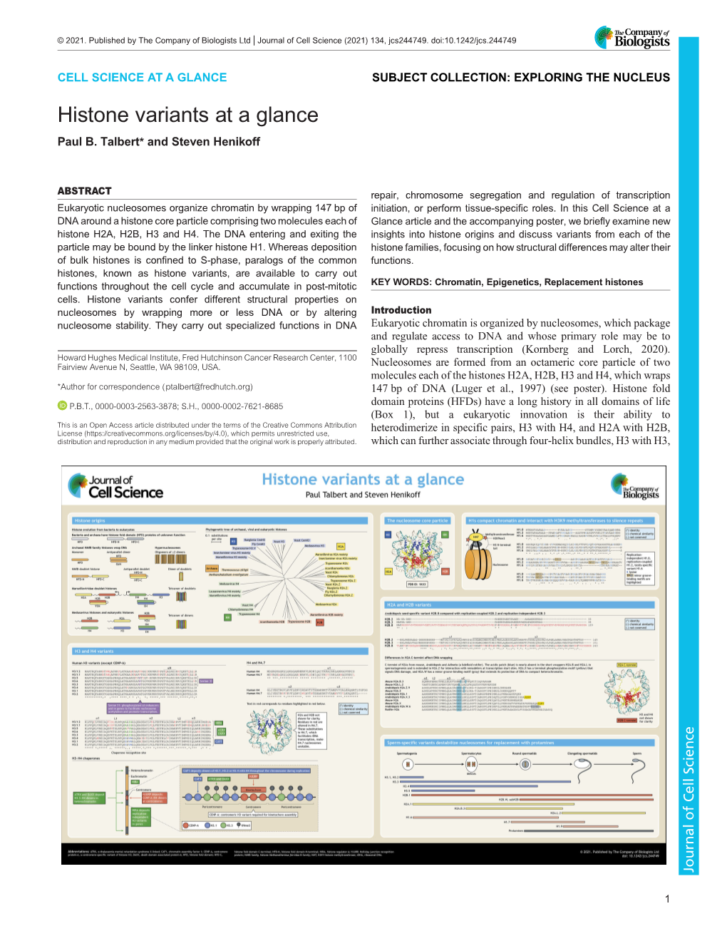 Histone Variants at a Glance Paul B