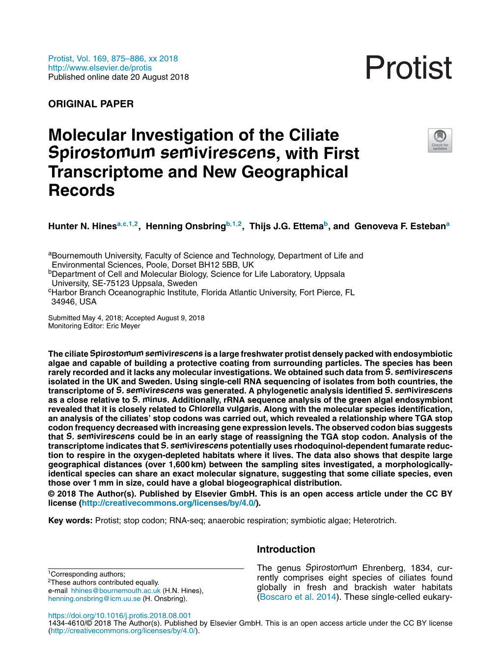 Molecular Investigation of the Ciliate Spirostomum Semivirescens, With