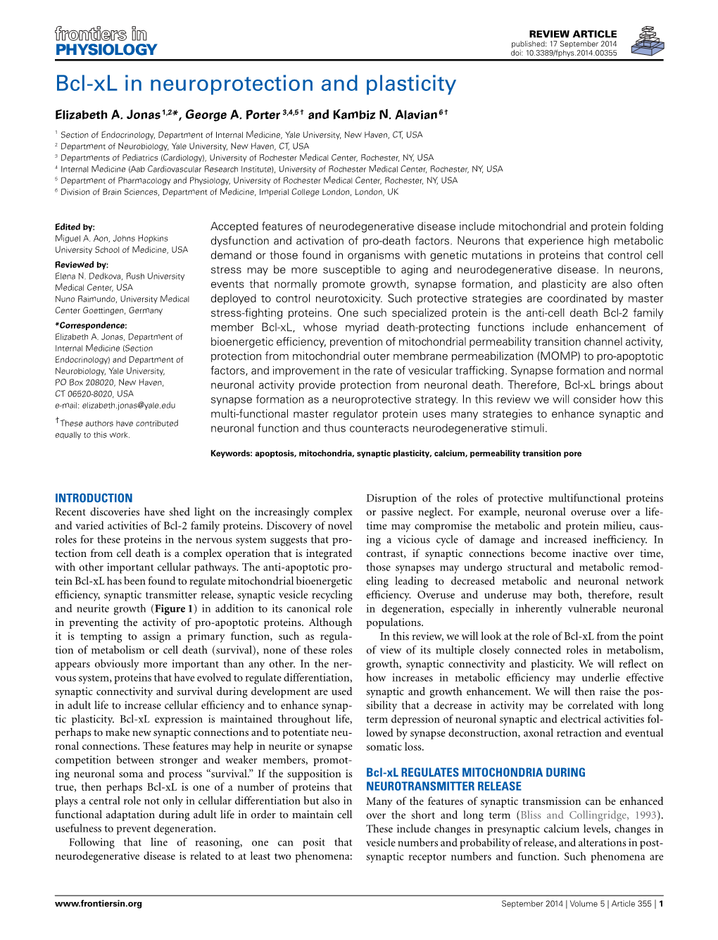 Bcl-Xl in Neuroprotection and Plasticity