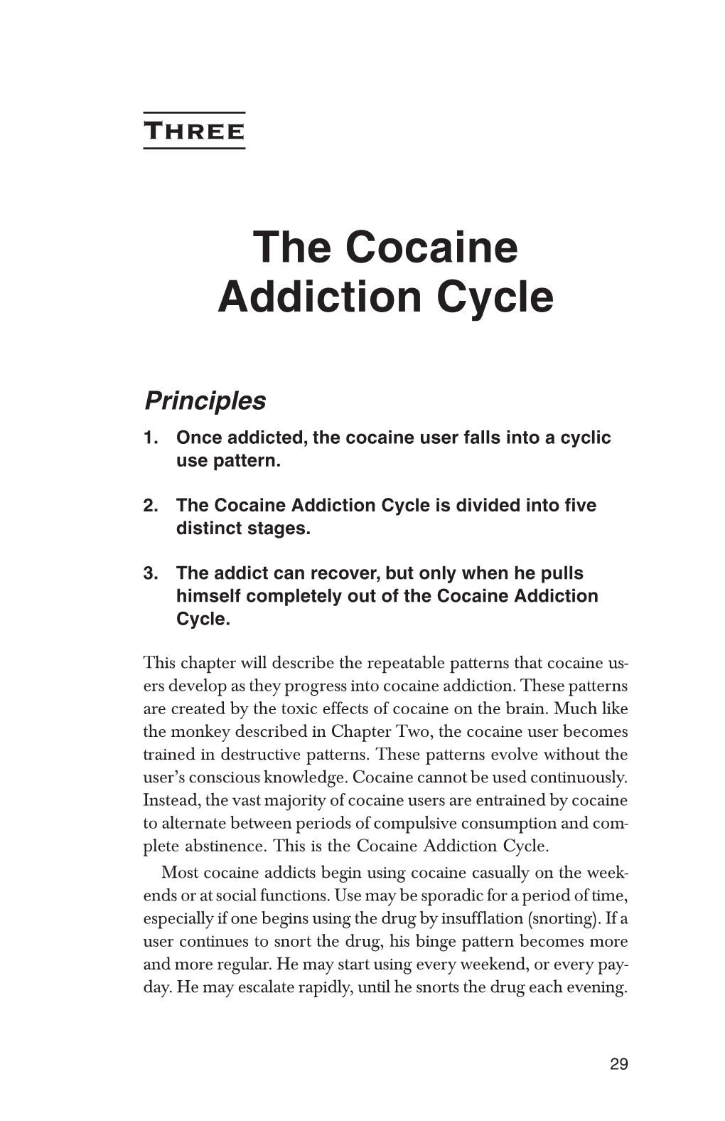 The Cocaine Addiction Cycle
