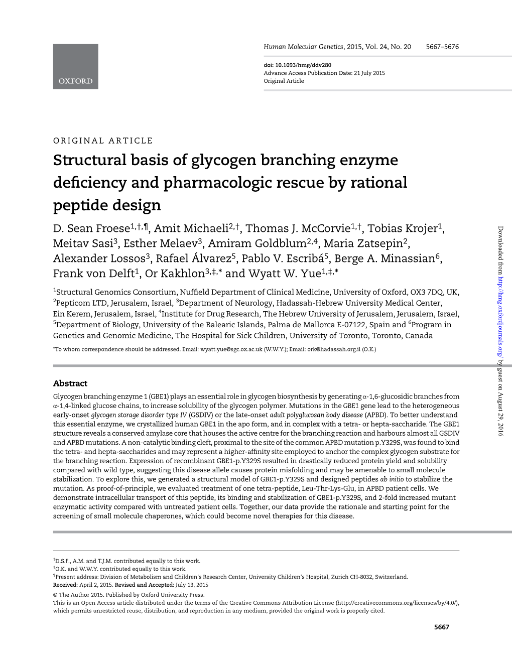 Structural Basis of Glycogen Branching Enzyme Deficiency And