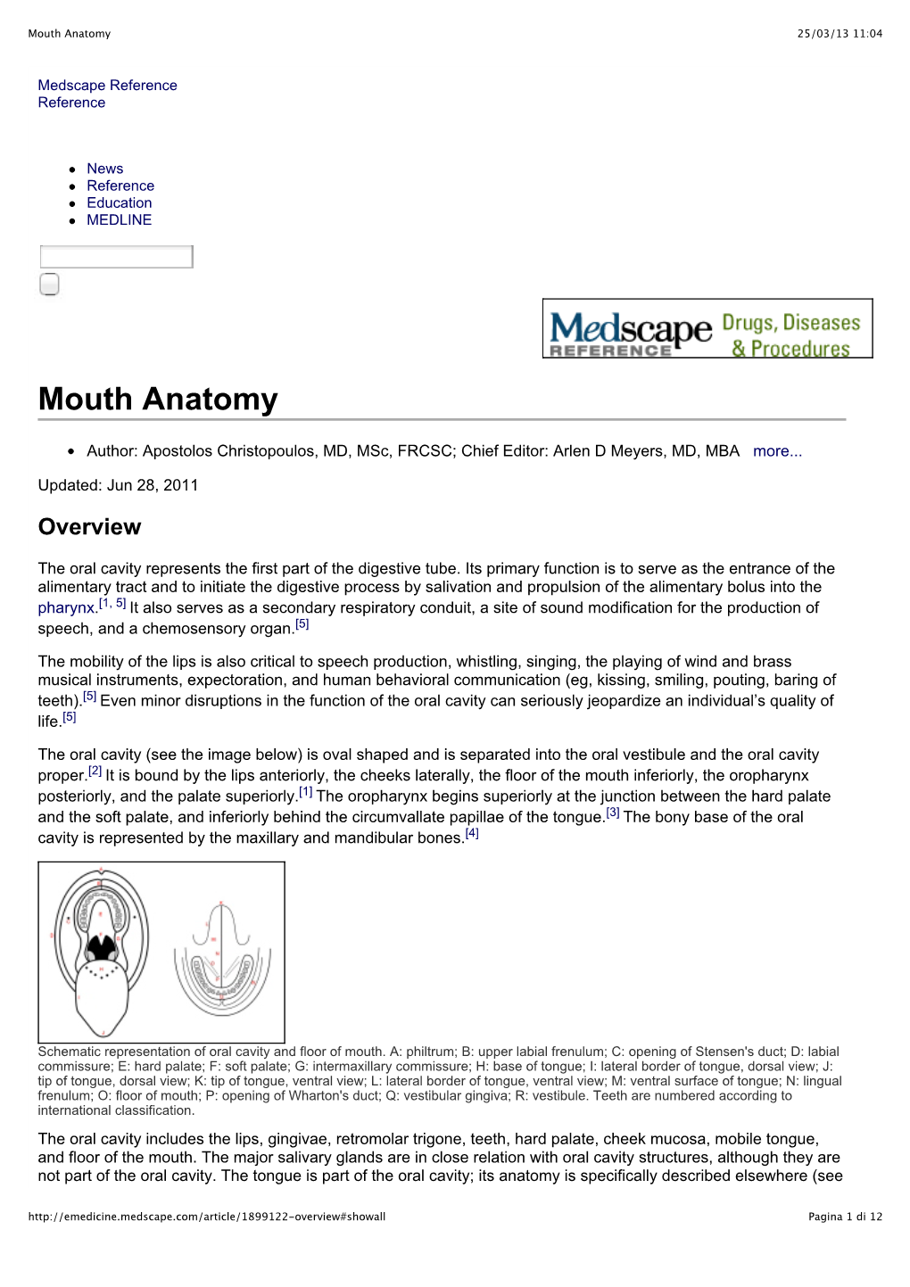 Mouth Anatomy.Pdf