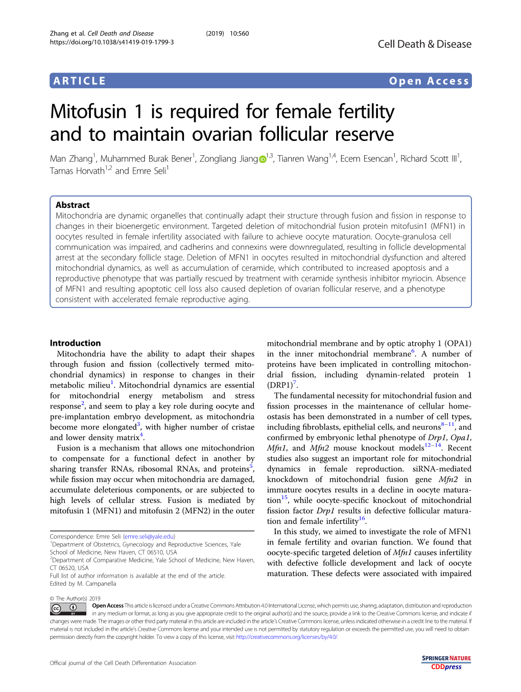 Mitofusin 1 Is Required for Female Fertility and to Maintain Ovarian