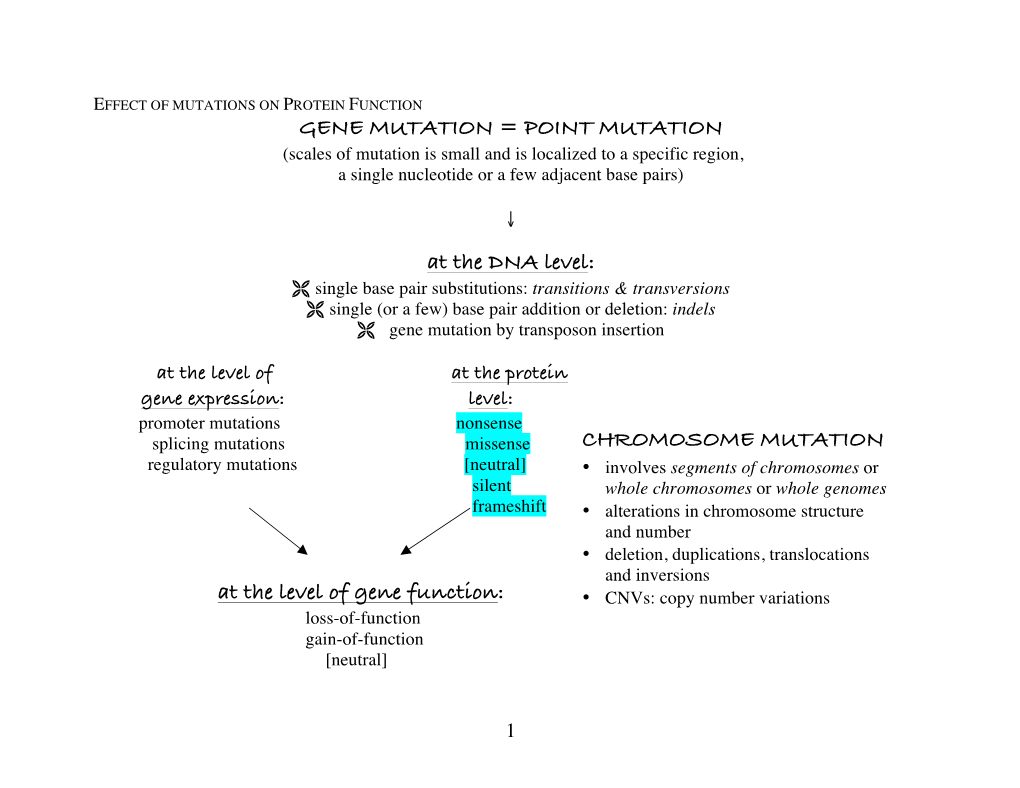 At the Level of Gene Function: CHROMOSOME MUTATION