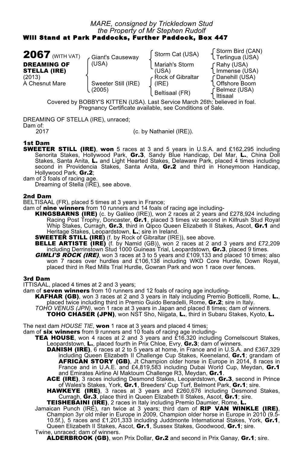 MARE, Consigned by Trickledown Stud the Property of Mr Stephen Rudolf Will Stand at Park Paddocks, Further Paddock, Box 447