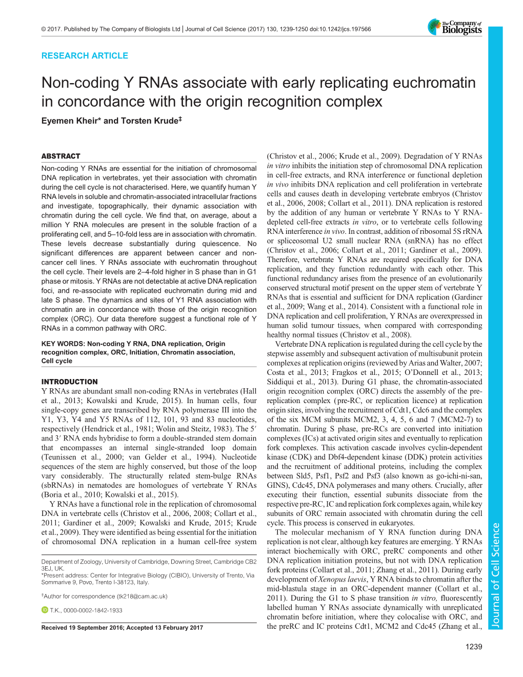 Non-Coding Y Rnas Associate with Early Replicating Euchromatin in Concordance with the Origin Recognition Complex Eyemen Kheir* and Torsten Krude‡