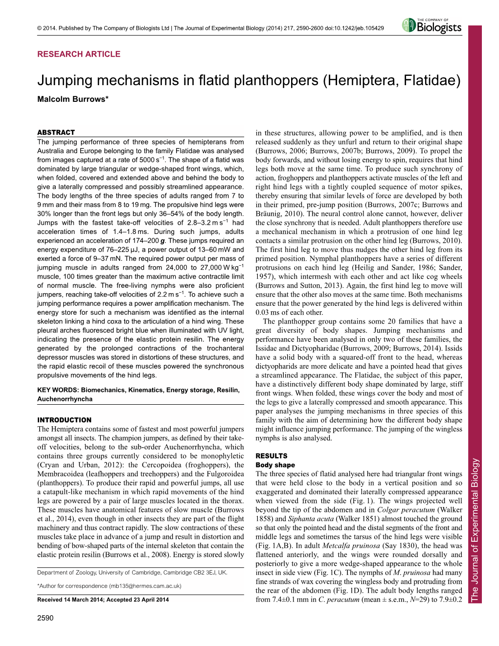 Jumping Mechanisms in Flatid Planthoppers (Hemiptera, Flatidae)