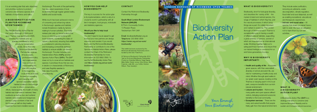 Biodiversity Action Plan Summary
