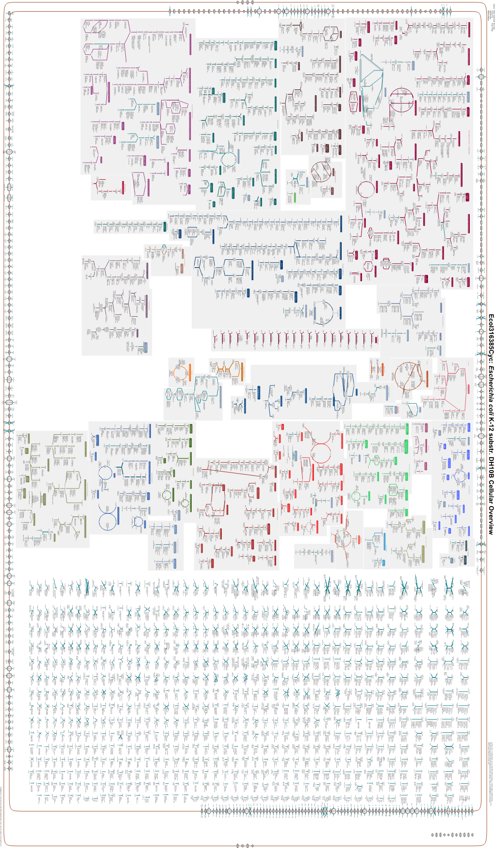 Generate Metabolic Map Poster