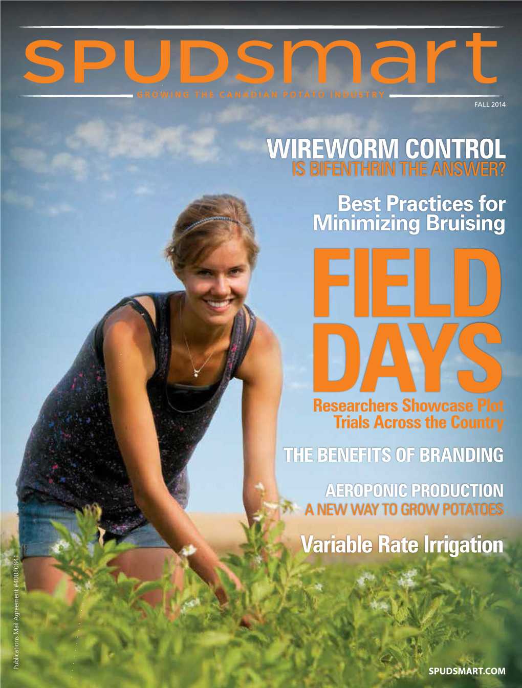 Wireworm Control