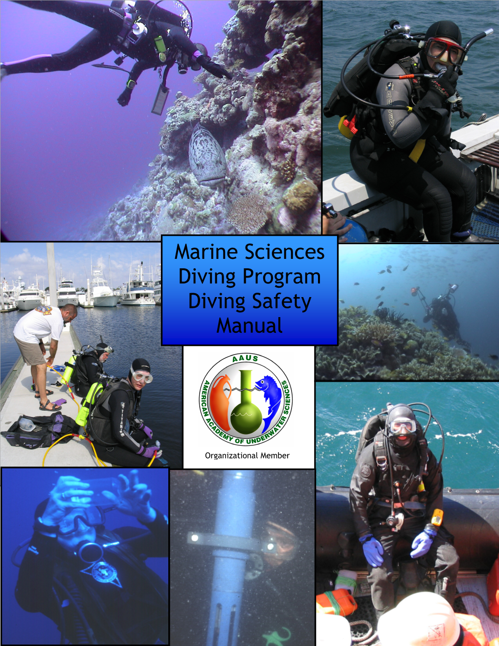 To Download the Diving Safety