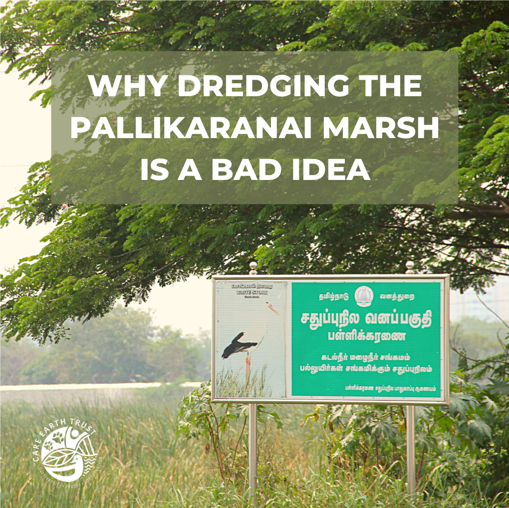 Why Dredging the Pallikaranai Marsh Is a Bad