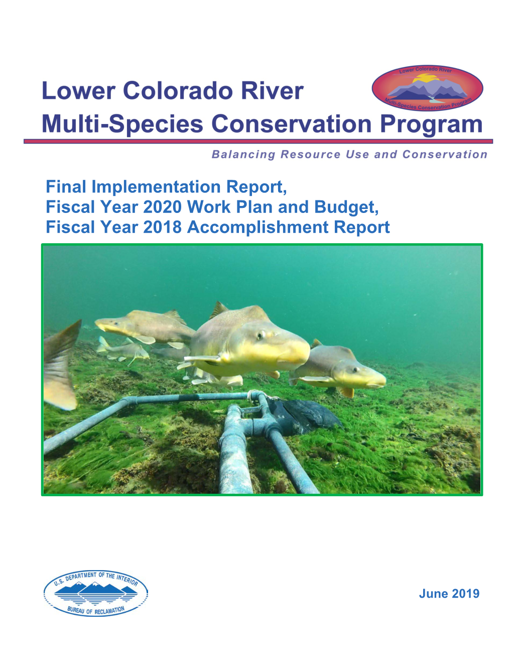 Final Implementation Report, Fiscal Year 2020 Work Plan and Budget, Fiscal Year 2018 Accomplishment Report