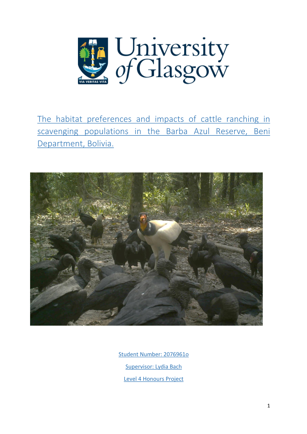 The Habitat Preferences and Impacts of Cattle Ranching in Scavenging Populations in the Barba Azul Reserve, Beni Department, Bolivia