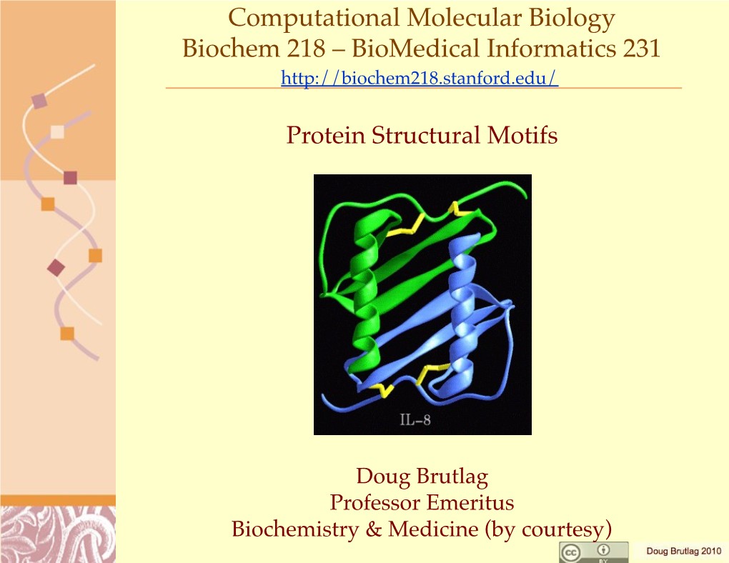 Biochem 218 Protein Structural Motifs