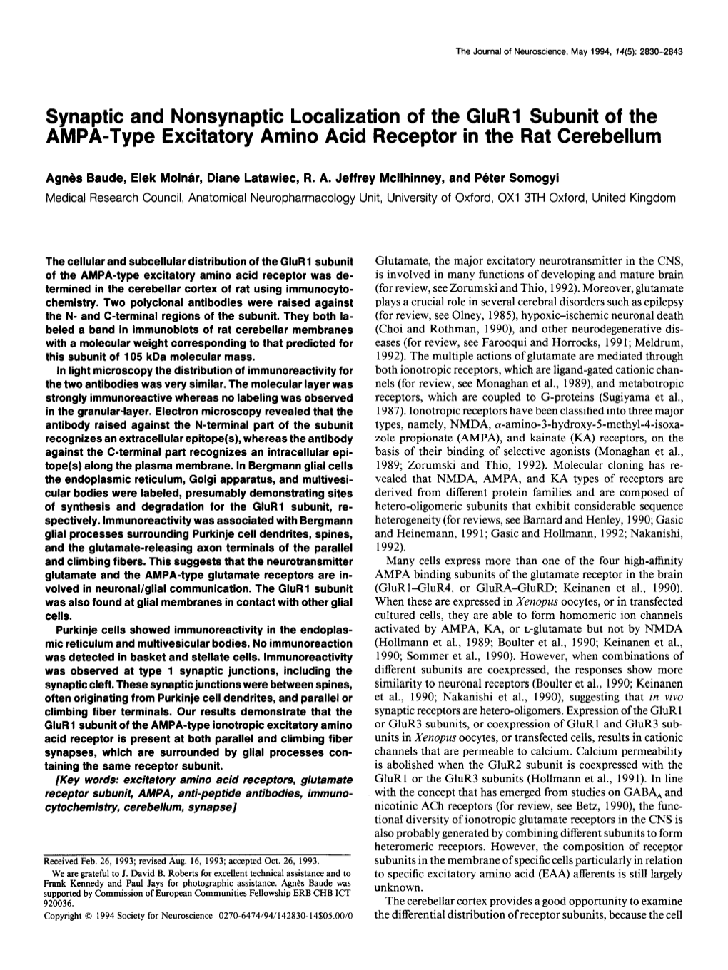 Synaptic and Nonsynaptic Localization of the Glurl Subunit of the AMPA-Type Excitatory Amino Acid Receptor in the Rat Cerebellum