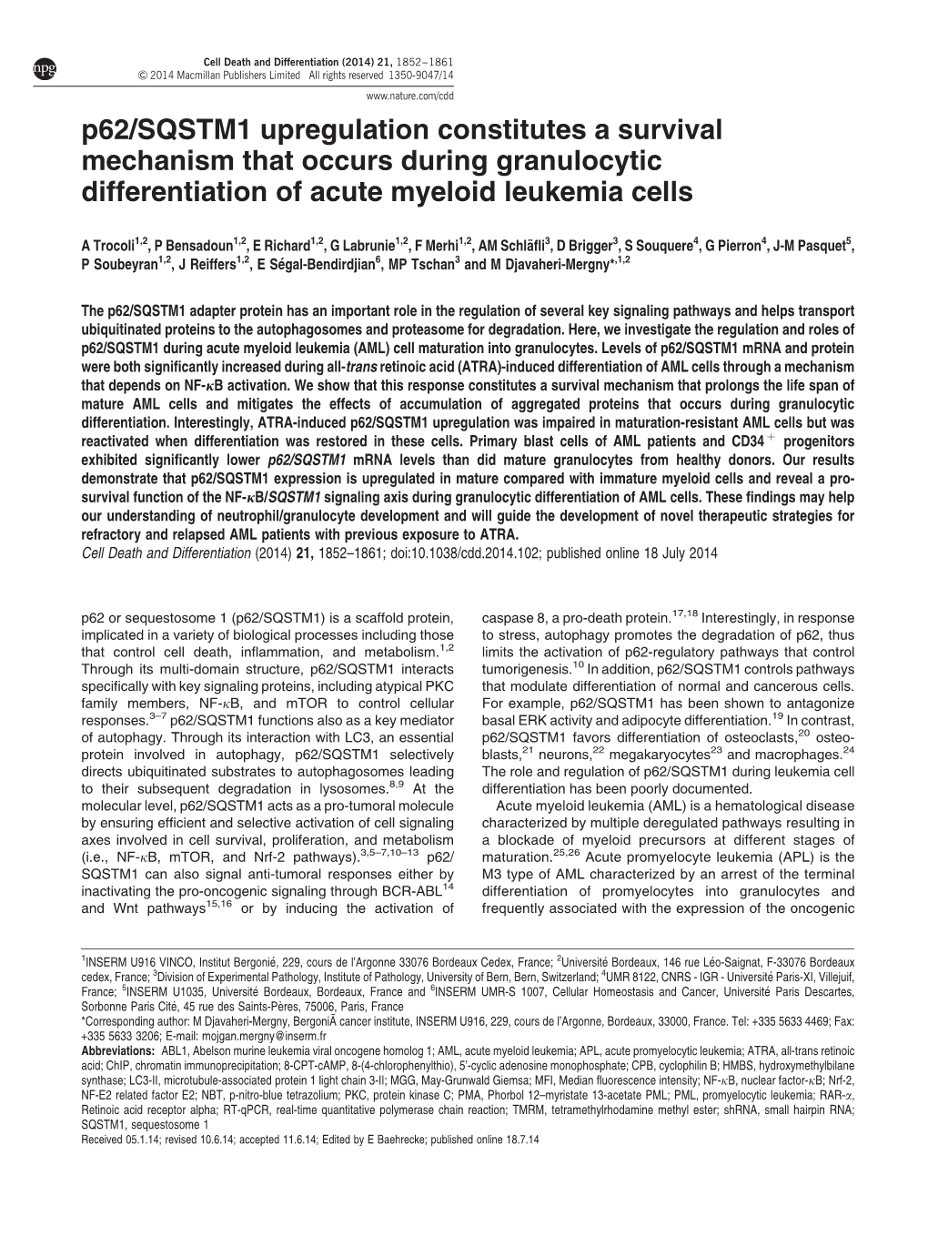 SQSTM1 Upregulation Constitutes a Survival Mechanism That Occurs During Granulocytic Differentiation of Acute Myeloid Leukemia Cells