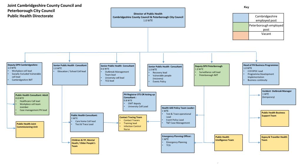 Joint Cambridgeshire County Council and Peterborough City Council Public Health Directorate COVID-19 DMT STRUCTURE ONLY Covid-19 Cell Lead /Deputy Arrangements