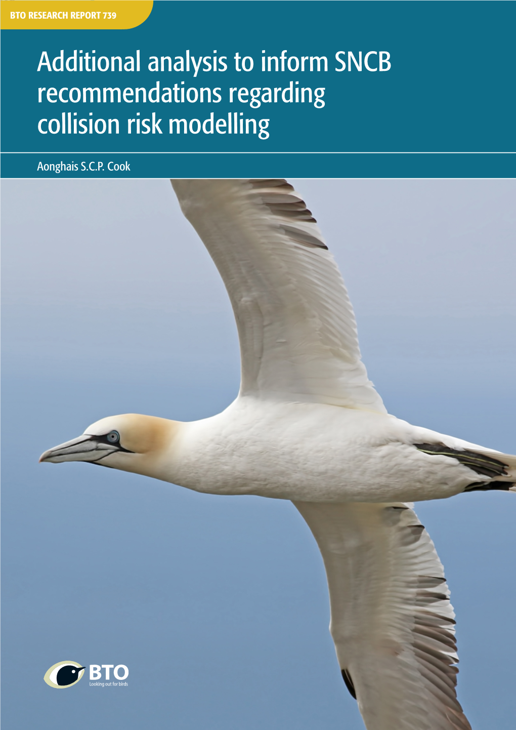 Additional Analysis to Inform SNCB Recommendations Regarding Collision Risk Modelling