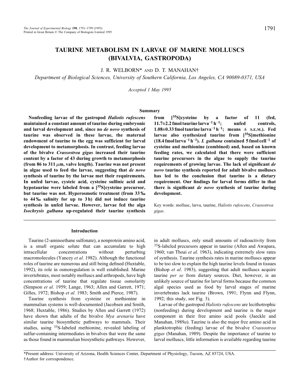 Taurine Metabolism in Larvae of Marine Molluscs (Bivalvia, Gastropoda)