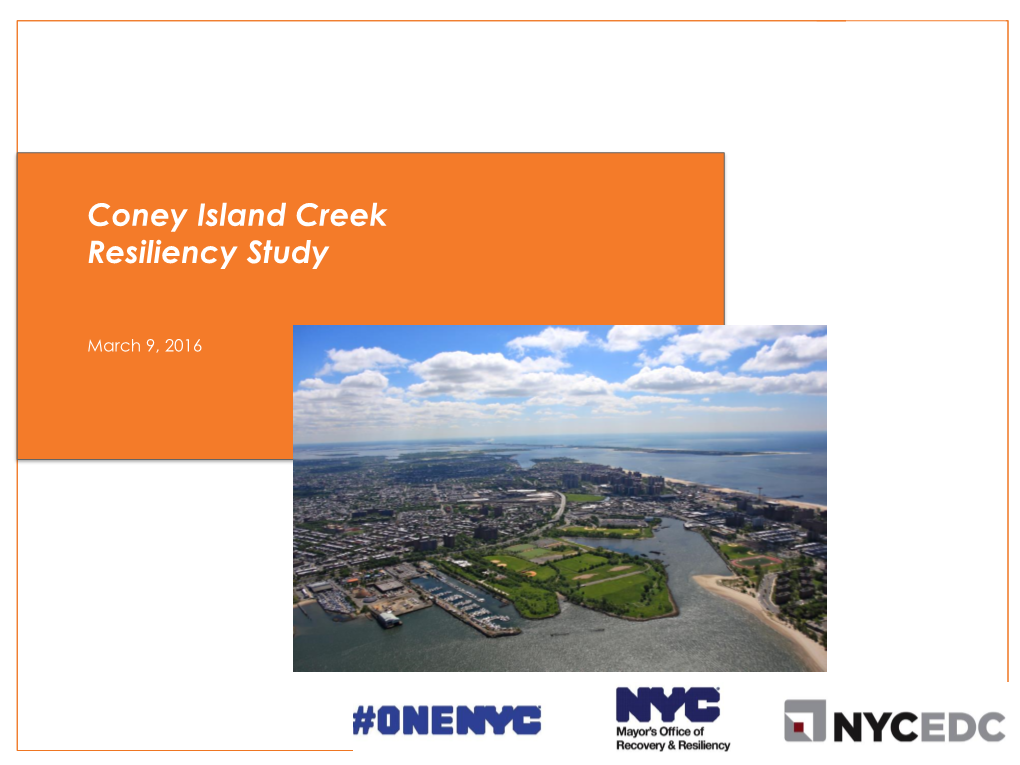 Coney Island Creek Resiliency Study