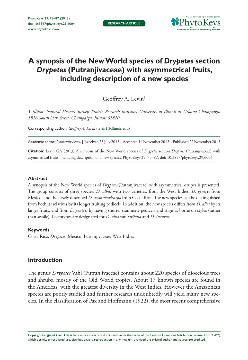 A Synopsis of the New World Species of Drypetes Section Drypetes (Putranjivaceae) with Asymmetrical Fruits, Including Description of a New Species