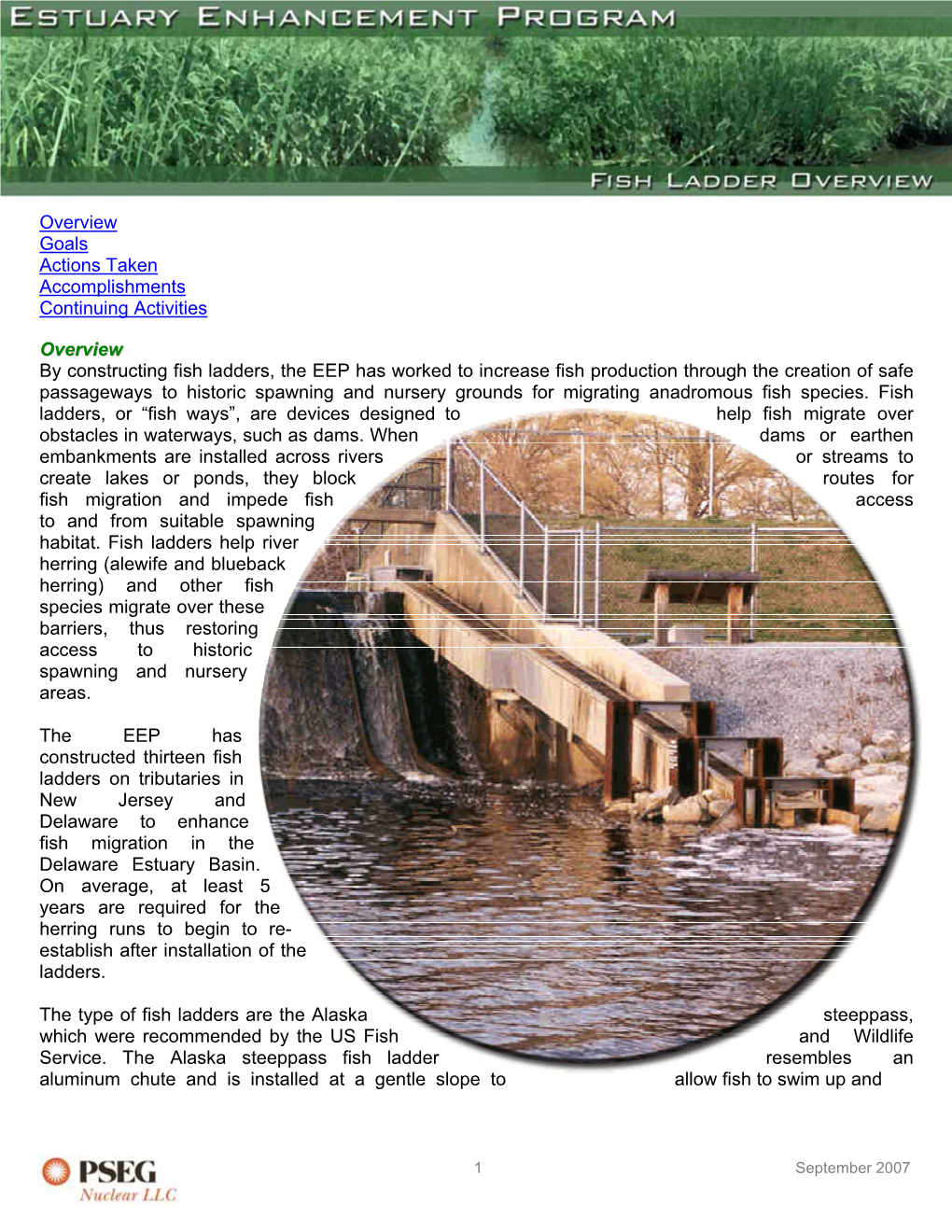 Fish Ladder Overview