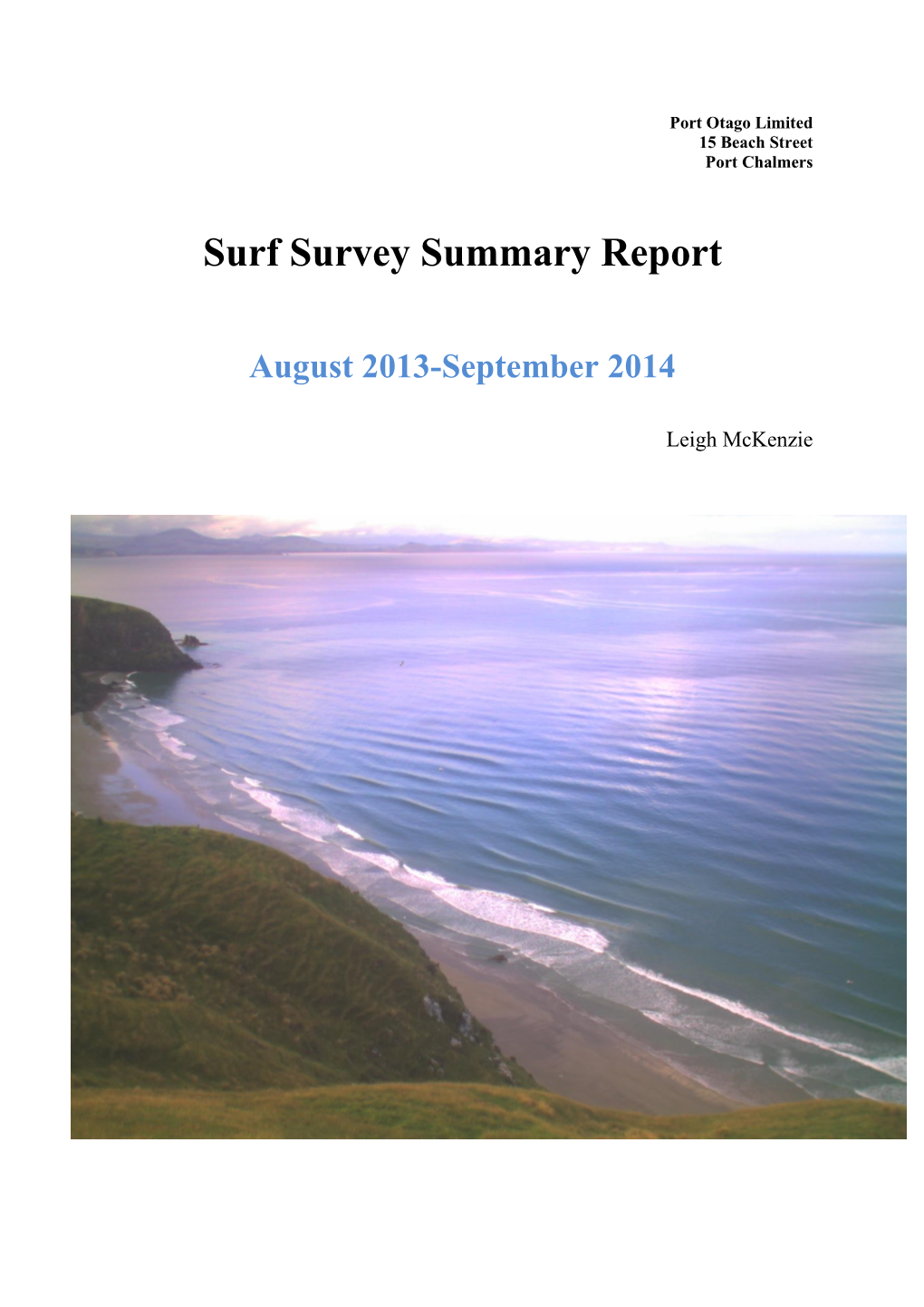 Surf Surveys Summary Report