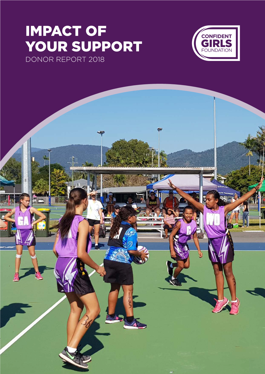 Donor Report 2018