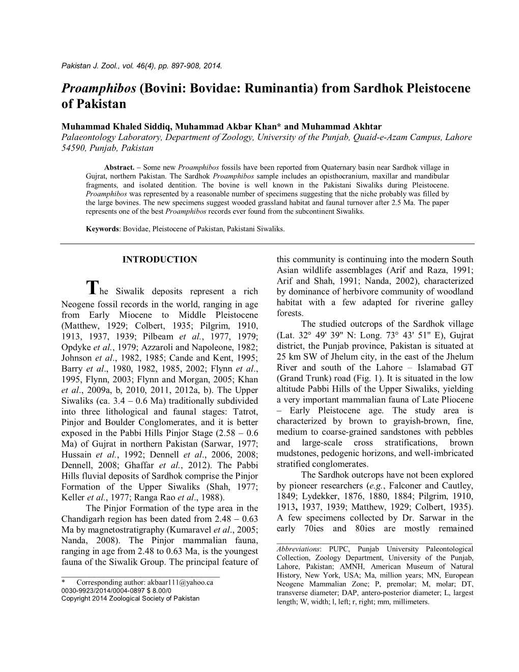 (Bovini: Bovidae: Ruminantia) from Sardhok Pleistocene of Pakistan