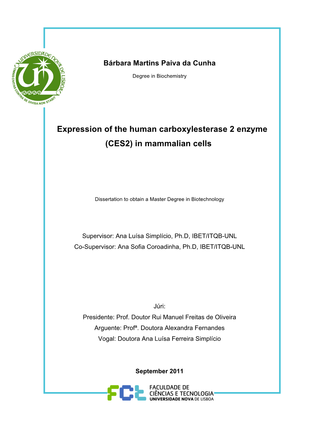 Expression of the Human Carboxylesterase 2 Enzyme (CES2) in Mammalian Cells