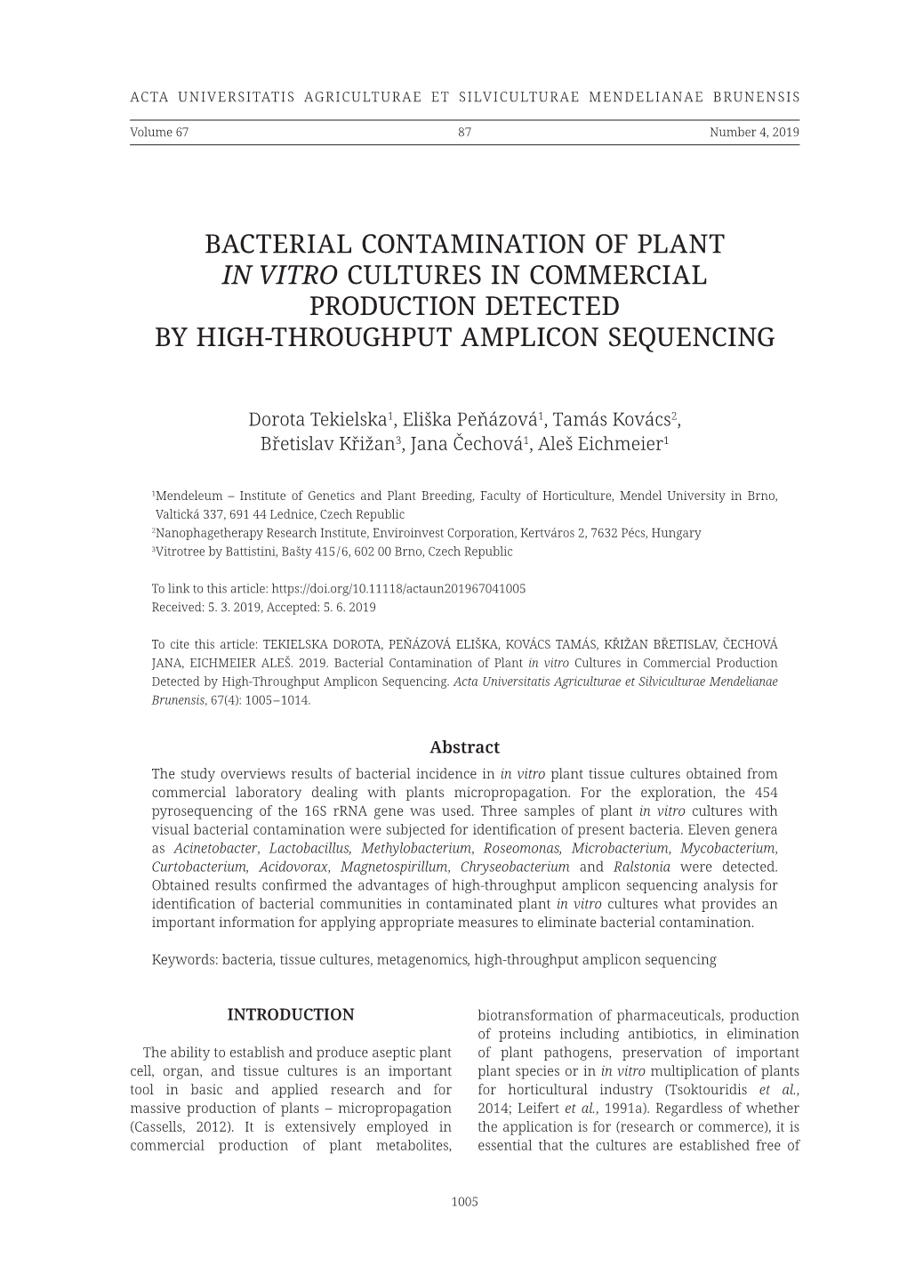 Bacterial Contamination of Plant in Vitro Cultures in Commercial Production Detected by High‑Throughput Amplicon Sequencing