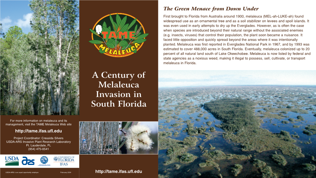 Century of Melaleuca in Florida