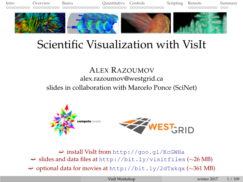 Scientific Visualization with Visit
