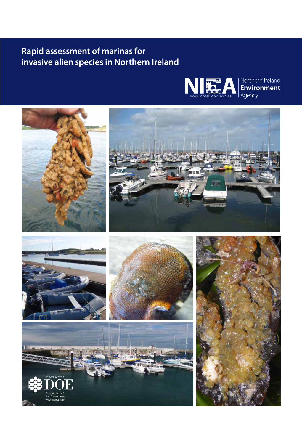 Rapid Assessment of Marinas for Invasive Alien Species in Northern