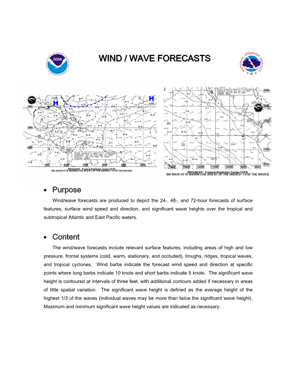 Wind / Wave Forecasts