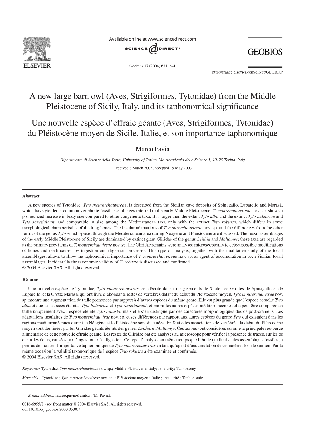 A New Large Barn Owl (Aves, Strigiformes, Tytonidae) from The