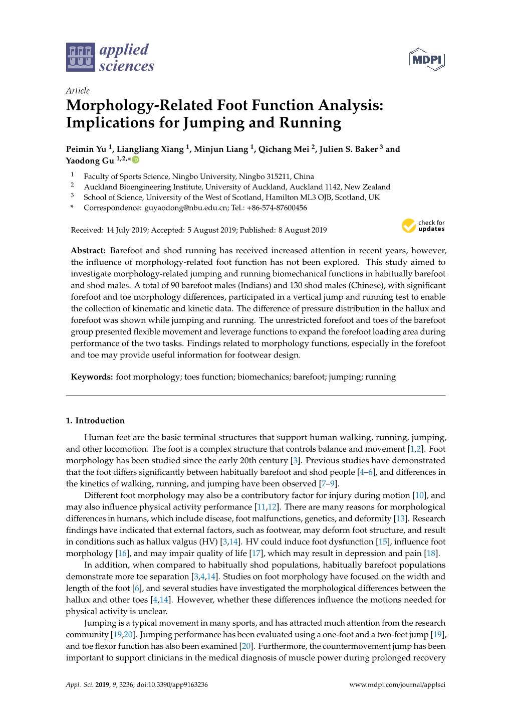 Morphology-Related Foot Function Analysis: Implications for Jumping and Running