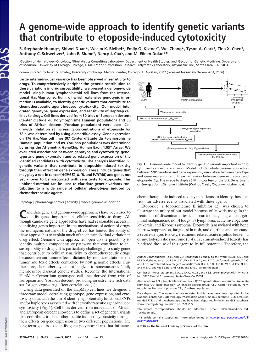 A Genome-Wide Approach to Identify Genetic Variants That Contribute to Etoposide-Induced Cytotoxicity