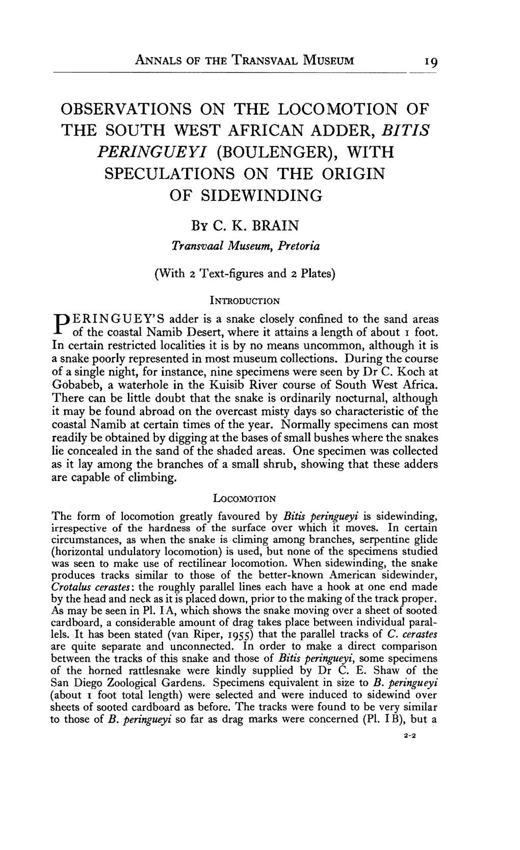 OBSERVATIONS on the LOCOMOTION of the SOUTH WEST AFRICAN ADDER, BITIS PERINGUEYI (BOULENGER), with SPECULATIONS on the ORIGIN of SIDEWINDING by C