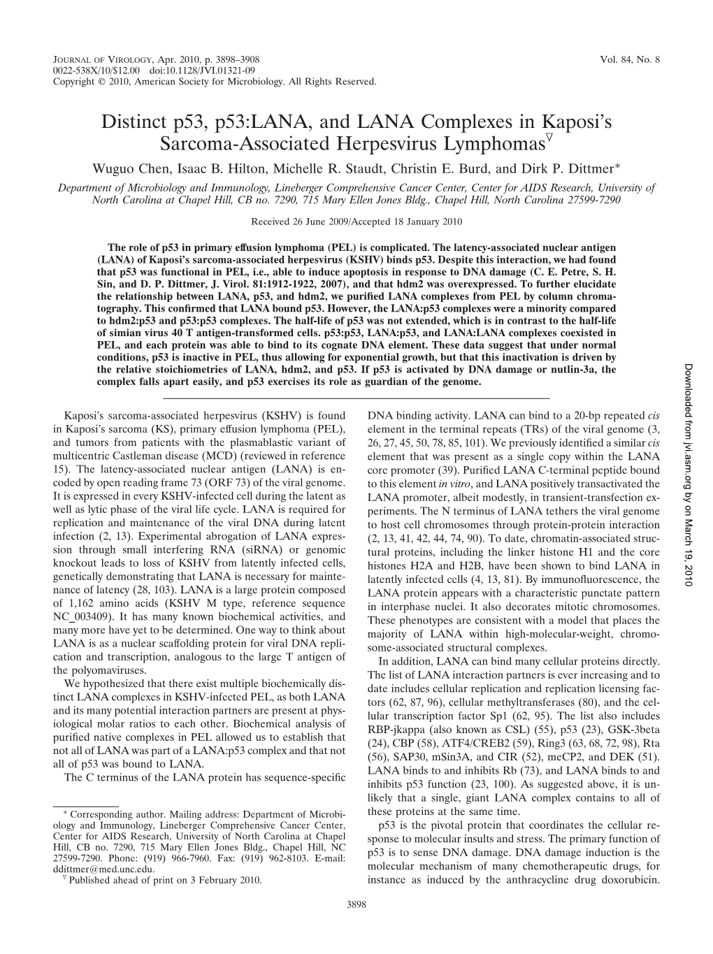 Distinct P53, P53:LANA, and LANA Complexes in Kaposi's Sarcoma