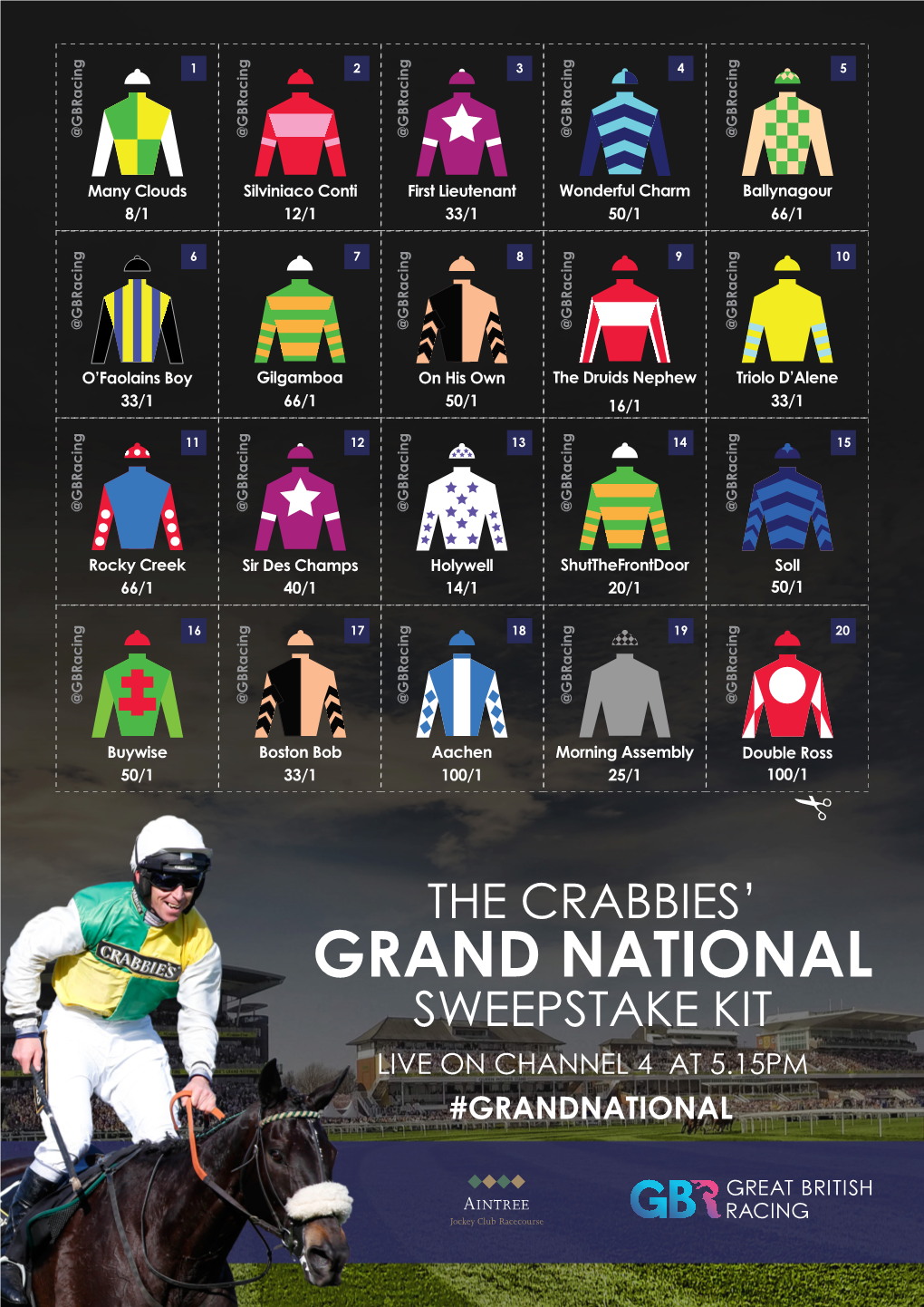 Grand National Sweepstake 2016 A4 V2 PRINT