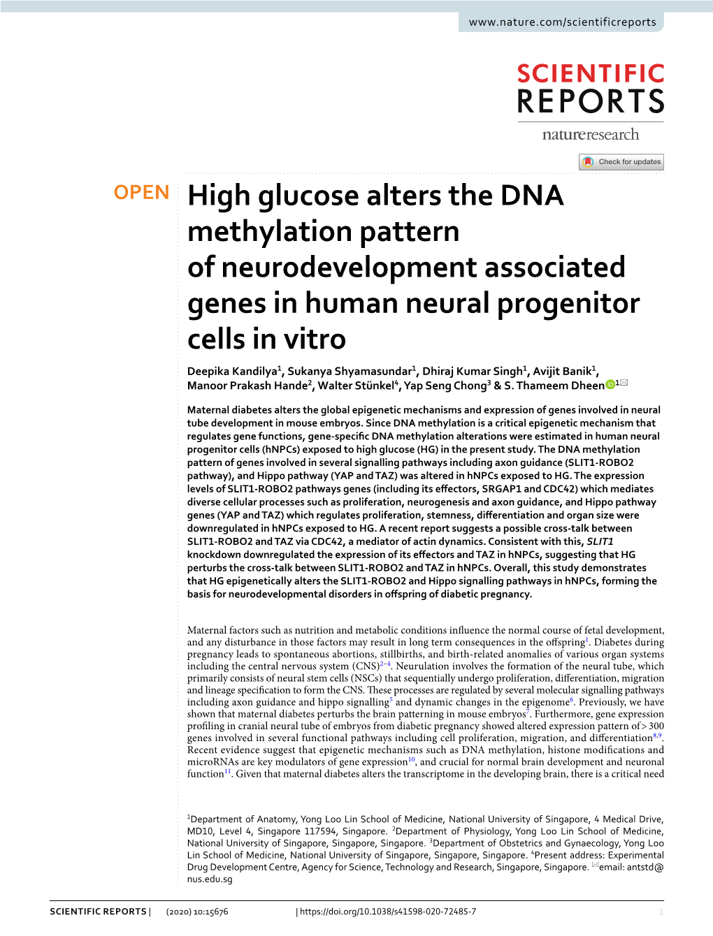 High Glucose Alters the DNA Methylation Pattern Of