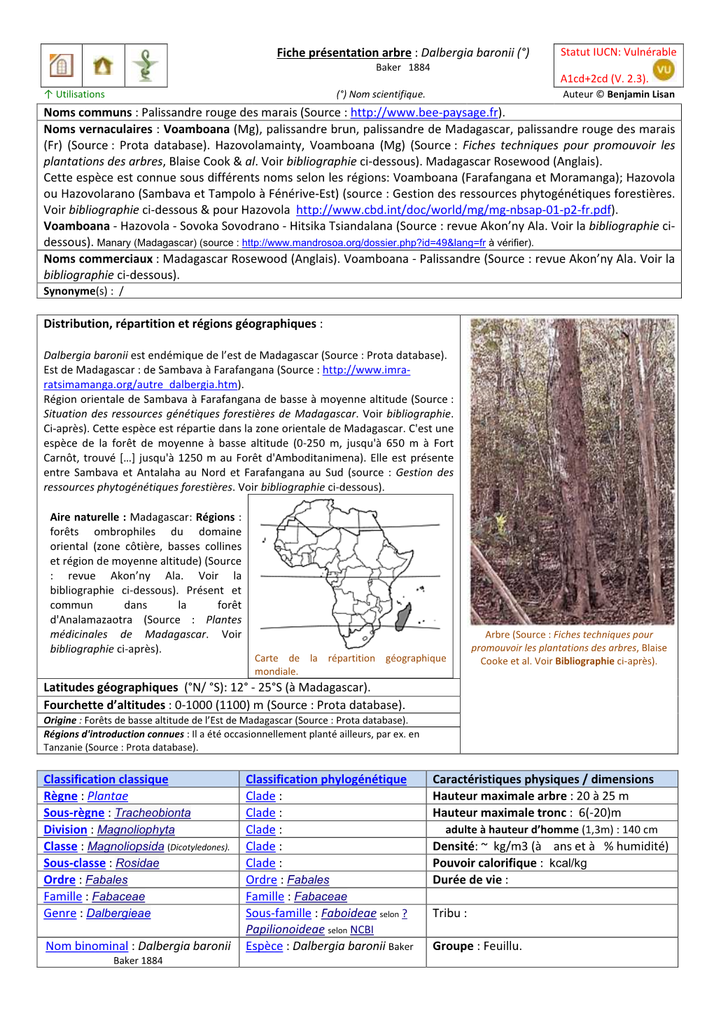 Fiche Présentation Arbre : Dalbergia Baronii (°) Statut IUCN: Vulnérable