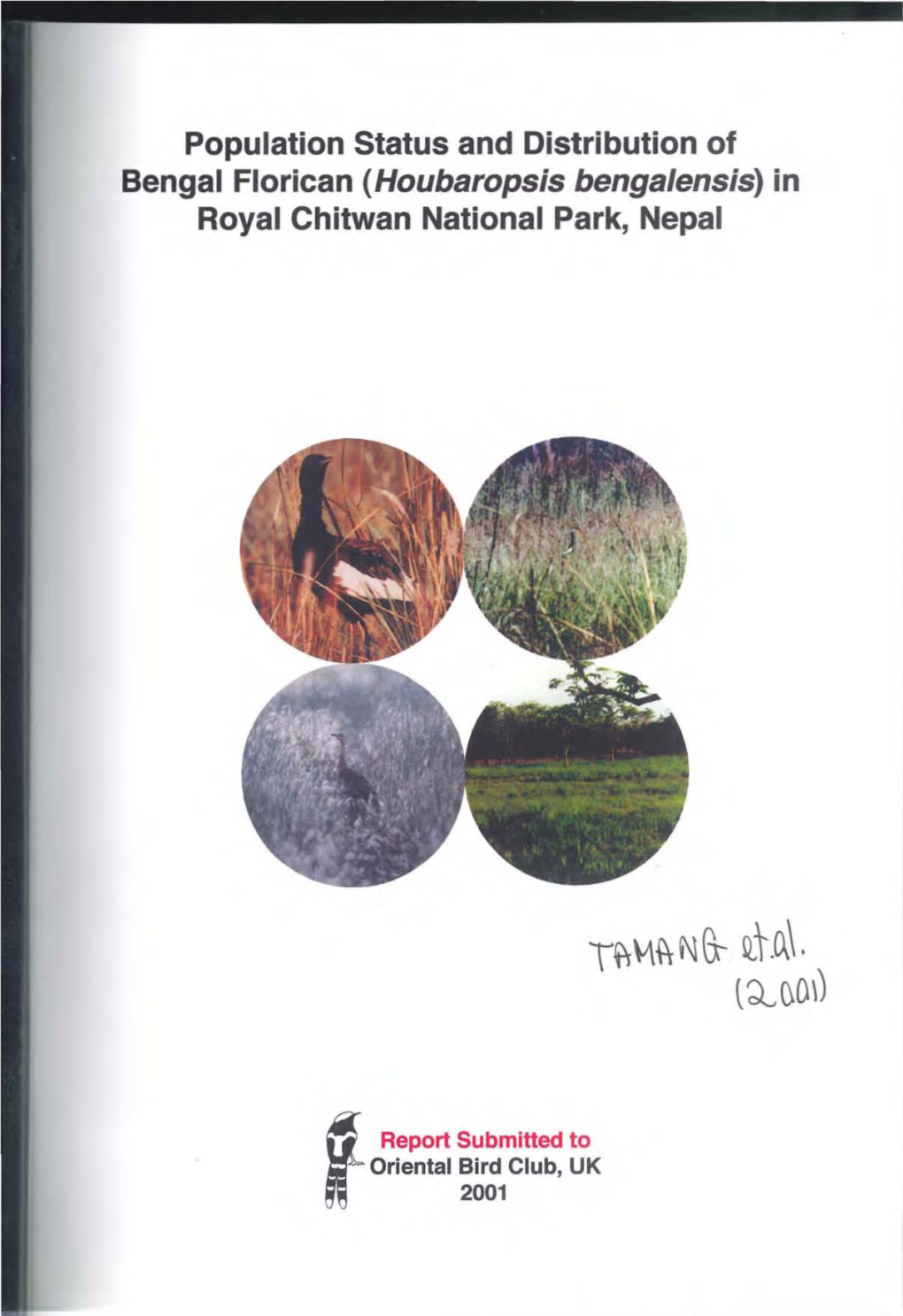 Population Status and Distribution of Bengal Florican (Houbaropsis Bengalensis) in Royal Chitwan National Park, Nepal