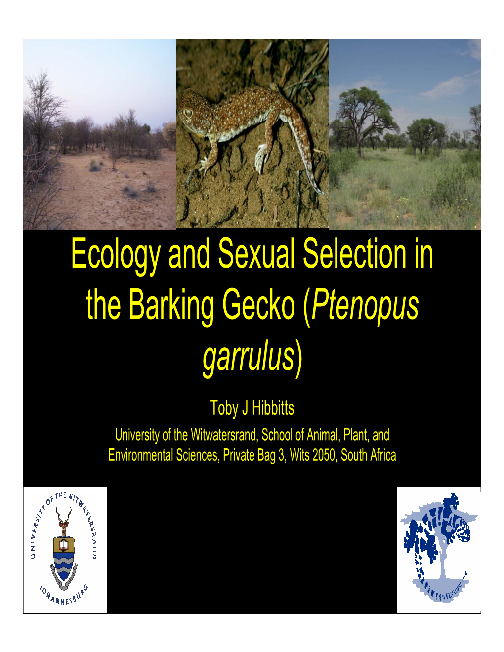 Ecology and Sexual Selection in the Barking Gecko (Ptenopus Garrulus