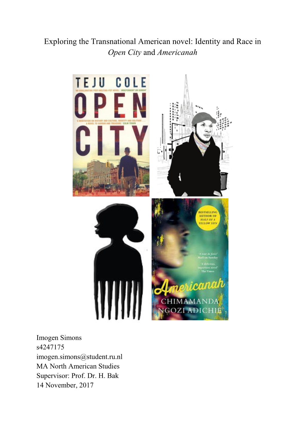 Identity and Race in Open City and Americanah