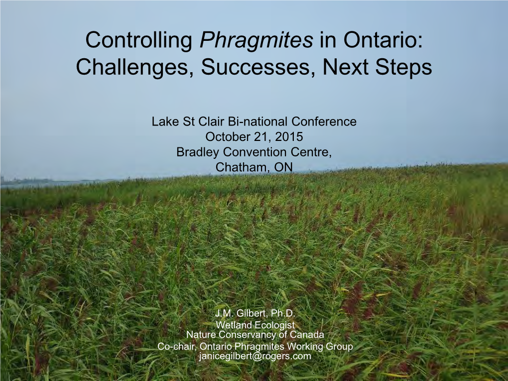 Controlling Phragmites in Ontario: Challenges, Successes, Next Steps