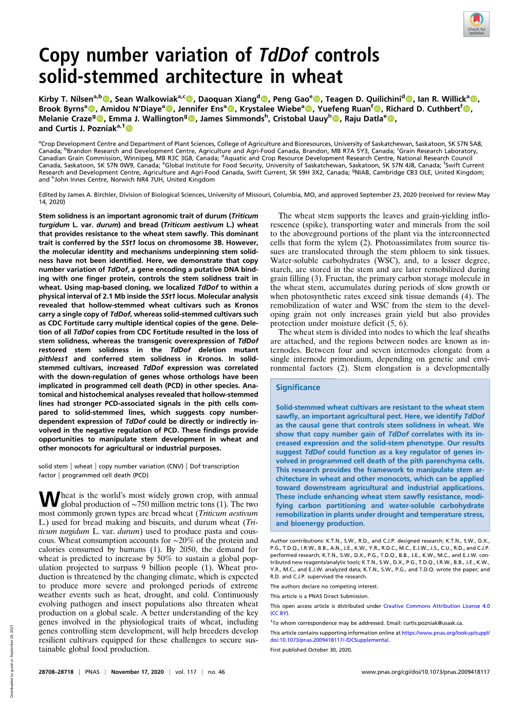 Copy Number Variation of Tddof Controls Solid-Stemmed Architecture in Wheat