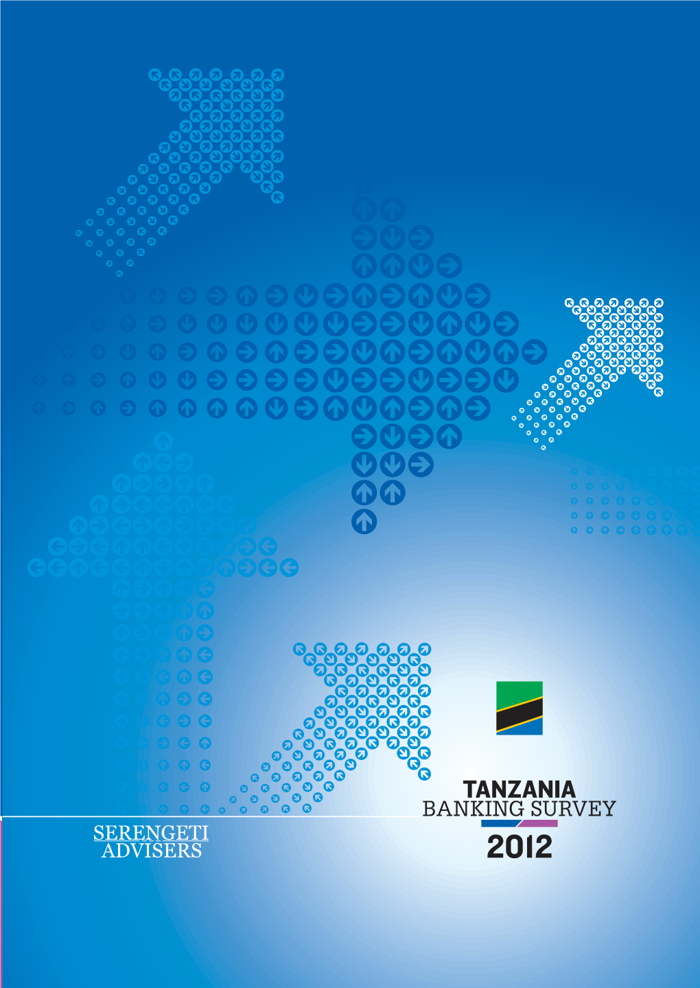 Tanzania Banking Survey 2012